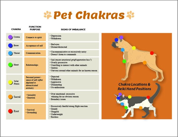 laminated dog cat 7 chakras charts pet reiki hand positions animal chakra charts