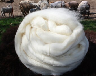 1 lb. Superwash Montana Corriedale!! 1 Pound Combed Top Wool Roving