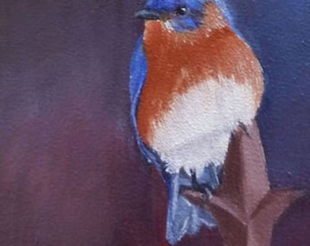 Bluebird 3.5x5 Blank Notecard with Envelope