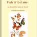 Perfect Art Nature and Mindfulness Gift; Booklet full artwork and mindfulness texts, Beautiful Nature Themes, Musings Art & Meditations