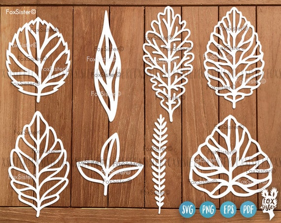 Leaves Svg SET 1 Leaf Svg File 8 Leaf Designs Leaves