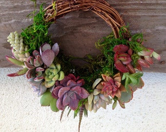 Succulent Wreath on Grapevine