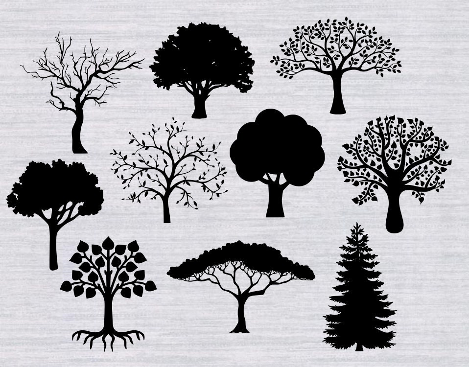 Free Free 289 Family Tree With Leaves Svg SVG PNG EPS DXF File