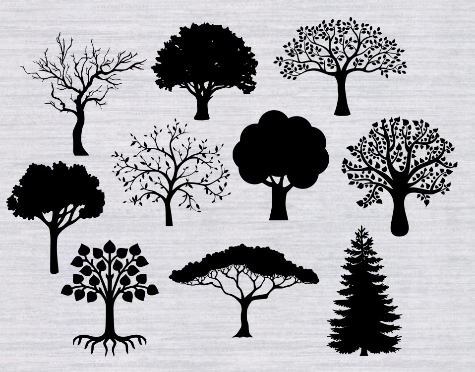 Free Free 178 Family Tree Svg Files Free SVG PNG EPS DXF File