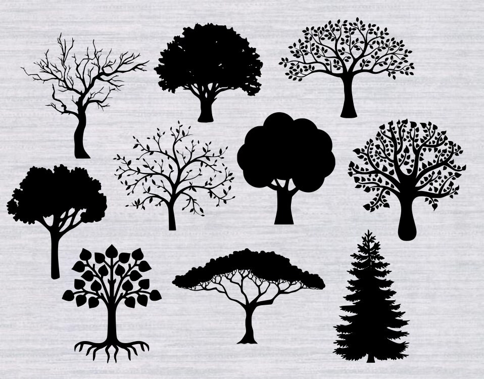 Free Free 271 Family Tree Svg Files Free SVG PNG EPS DXF File