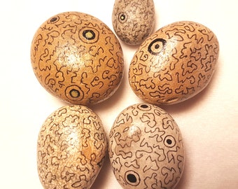 Set of 5 Pebble decorated in pen and ink