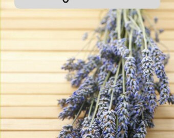 My Essential Oils Journal
