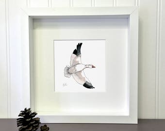Snow Goose, 5 x 5 inches, Print of an original drawing, Migratory bird collection