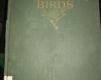An Introduction to Birds 1965
