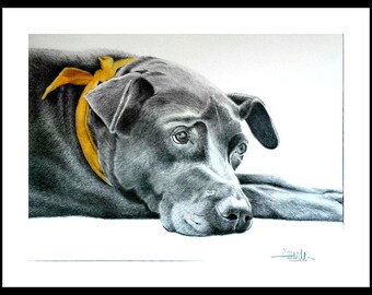PET PORTRAIT from your favorite photo, Labrador, Dog Portrait, Custom pet portrait, Gift for her, Pet memorial, Dog memorial, pet loss