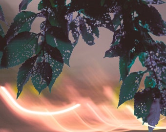 Leaf Double Exposure Photo, Leaf Photo Print, Leaf Print, Leaf Photo, Nature Photography, Double Exposure Photography