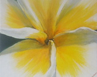 Frangipani (small)