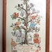 Vintage Cross Stitch, Nursery Wall Art, All Creatures Great and Small, Framed Cross Stitch, Religious Needlework, Animal Sampler