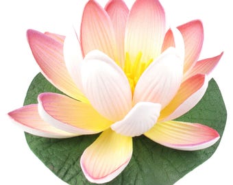 White lilly and Jasmine Charcoal Small 1 inch Incense Cones Highly Scented 10 Pack~Handmade~Aromatherapy
