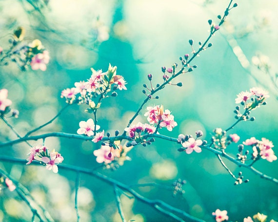 turquoise flower background