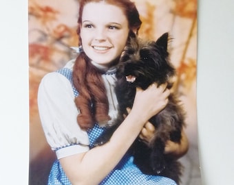 Judy Garland and Toto 10 x 14 Color Photo Image/Poster The Wizard of OZ