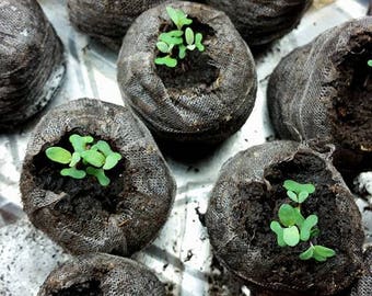 Jiffy Peat Pellets, Peat Pellets,seed starter, Seed Starter Pellet, Starter Soil, Easy Starter Soil