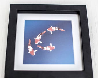 Red and White Japanese Koi