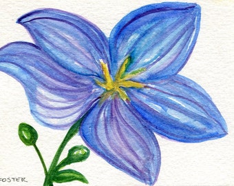 Blue bell flower watercolors paintings original, 4 x 6 blue flower watercolor painting, flower painting, flower decor SharonFosterArt