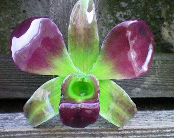 Free Shipping REAL Natural Magenta Purple, Radiant Orchid and Green ORCHID Pin and Pendant