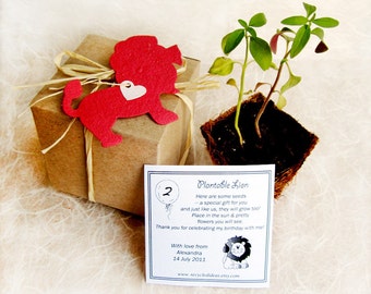 25 Lions Seed Paper Gift Box Kit with Plantable Pots - Plantable Flower Seed Paper Lions Zoo Birthday Party Favors - Zoo Wedding