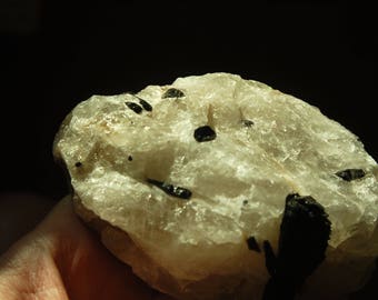 Large Black Tourmaline in Quartz Natural crystal - 646 grams - Schorl - Brazil