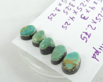 Tyrone stabilized turquoise cabochons