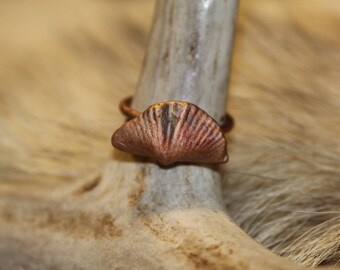 400 Million Year Old Electroformed Brachiopod Fossil Ring