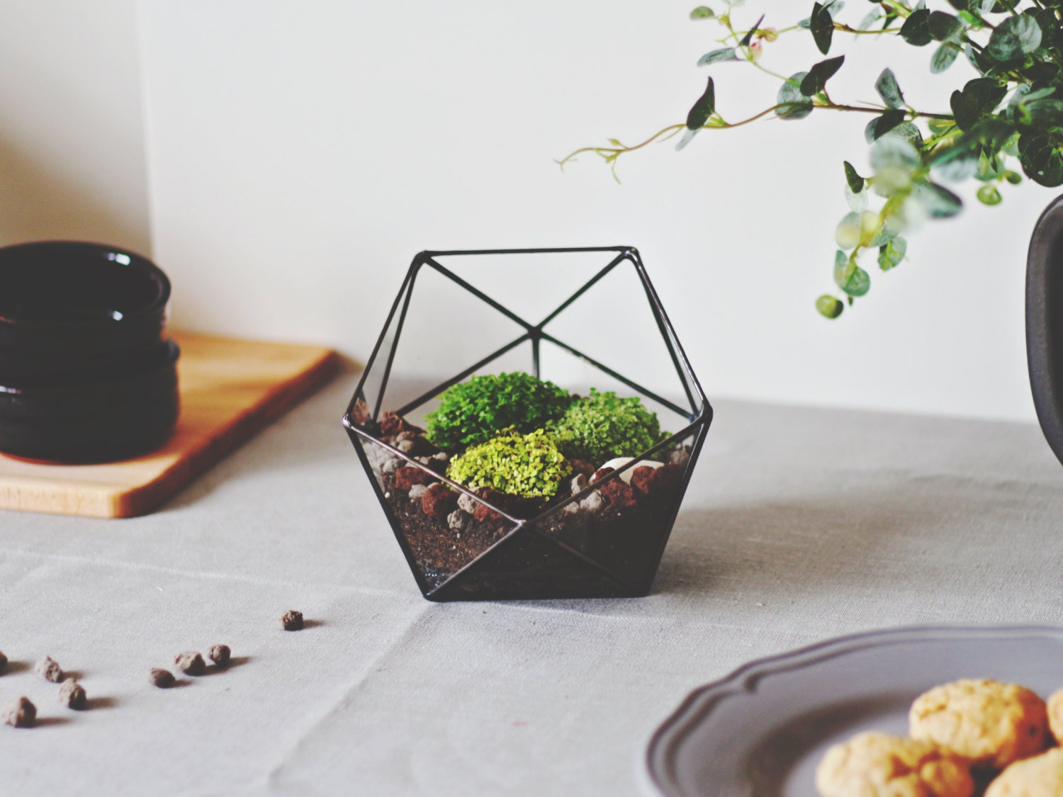 Geometric Glass Terrarium Container Valentine's Day Gift - ðzoom geometric glass terrarium container valentine's day gift - ðzoom
