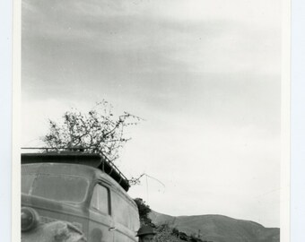 Under Enemy Squadrons- WW II photo- Battle of Greece- Servia pass- war memorabilia- New Zealand & Australian Brigades- war photo