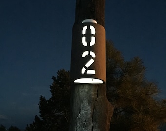 Address Number Wall Sconce, House Number, Solar Powered Light, Wall Light, Porch Light, Driveway Light, Custom Address Number, Gate Light