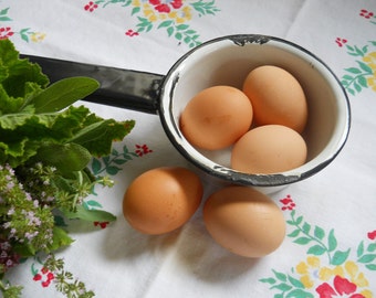 Small White Enamelware Pan