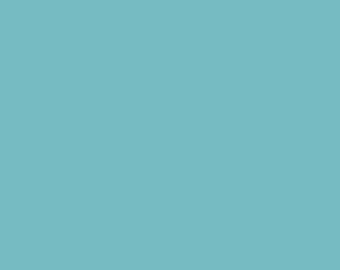 Turquoise Blue Fabric - Riley Blake Bear Lake Fabric