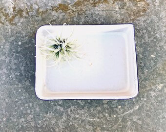 ENAMEL PHOTO TRAY | Vintage Enamelware Photography Tray | Small 5 x 7 Eastman Kodak Tray | Photo Development | Darkroom Chemical Tray