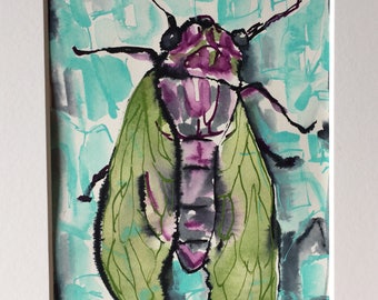 Cicada With Green Wings