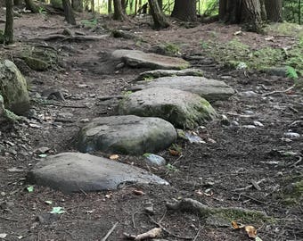 A walk in the woods