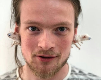Magnetic mouse earrings. Real mice. Bad taxidermy