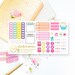 Sampler Sheet | S0011 | Planner Stickers | Perfect for the Erin Condren, Plum Paper, Happy, Mambi, Kikki or Filofax Planners!!!
