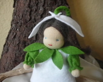 Snowdrop - flower child
