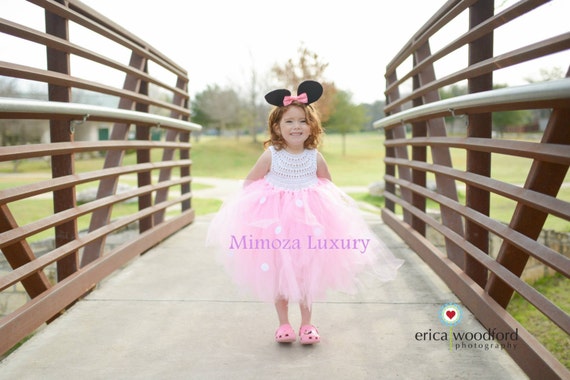 Minnie mouse birthday dress, pink minnie mouse outfit, 1st birthday tutu dress, minnie mouse themed party, minnie mouse ears, minnie dress