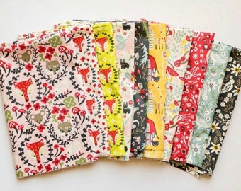 Birch Folkland POPLIN - Organic Cotton Fabric - Fabric Bundle from Folkland Collection - 10 prints