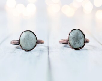Sand dollar fossil ring | Electroformed fossil jewelry | Raw organic fossil ring | Fossilized Sand Dollar | Women or men's mineral ring