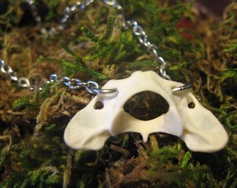 Real Bone Vertebrae Necklace