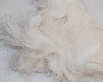 Karakul Sheep Wool Locks for Spinning, Felting, Santa Beards, Doll Hair, Doll Wig, Cream White with very faint traces of gray 1 oz.