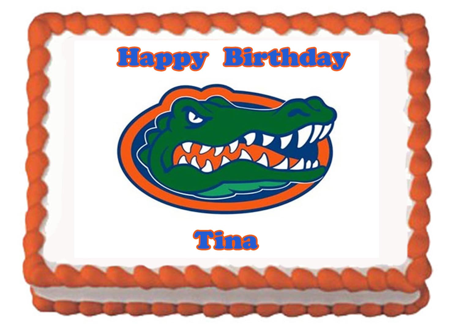 Florida Gators Birthday Cake Gainesville Football Edible Cake