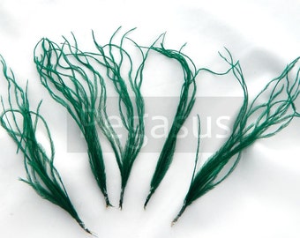 EMERALD GREEN Ostrich Feather spray (3 package size) Cruelty free feathers for hair fascinators, boutonnieres, millinery,shoe clip,bouquet