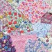 Mystery Assorted Liberty London 20 piece 5inch Scrap Charm Pack