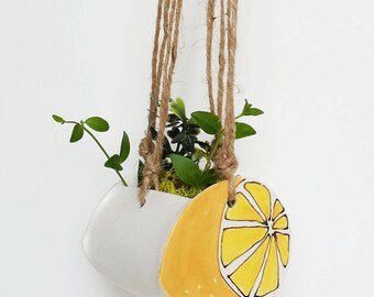 Small lemon planter. Perfect cactus or succulent planter. Unique suspended planter!