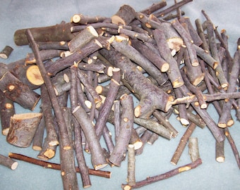 Apple Wood Limb SCRAPS, Branch Trimmings, Bunny, Chinchilla Food, 2 Pounds, Pet Treats, Rabbit Food, Malus, Fresh