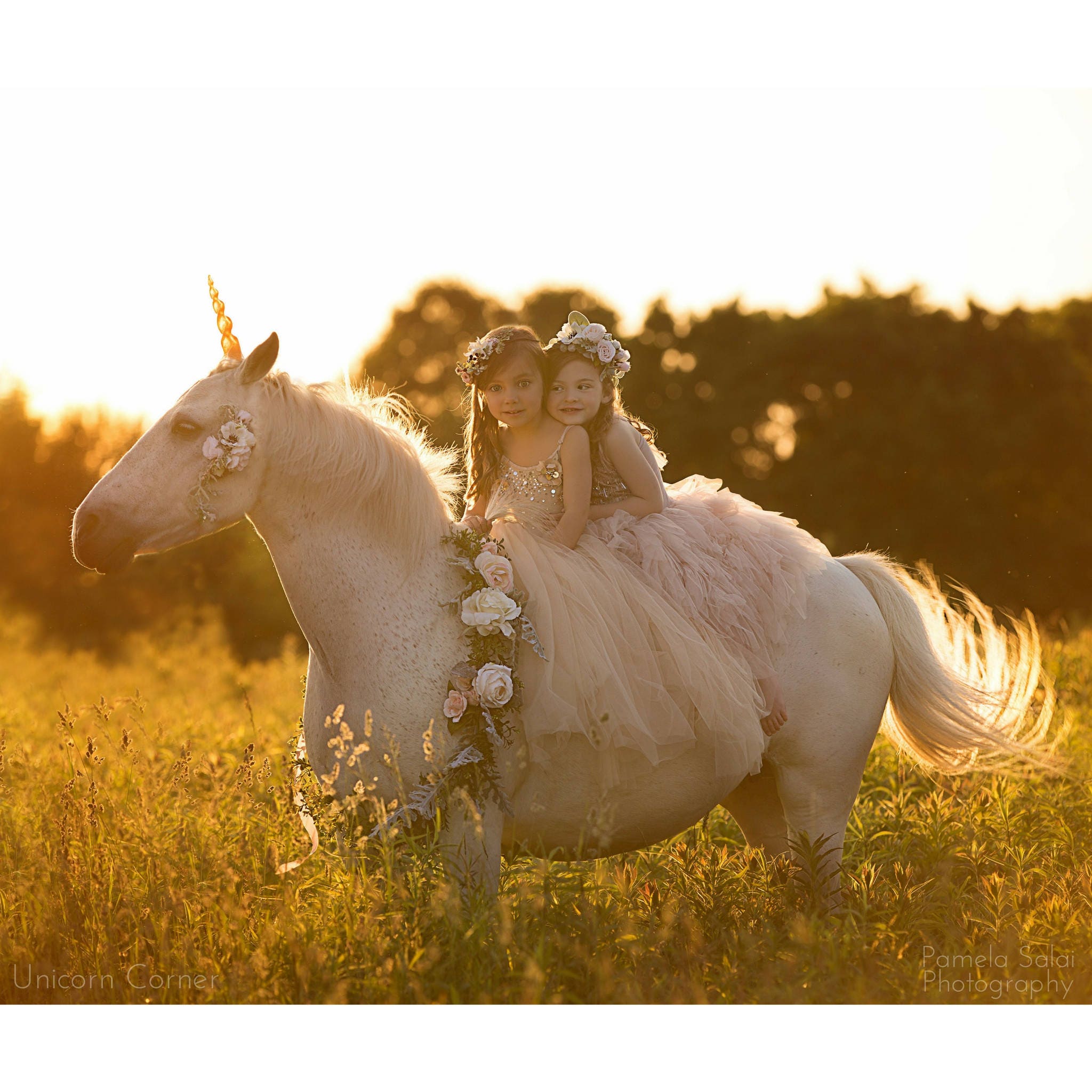 Unicorn Horn for Pony or Horse / unicorn pony party /unicorn